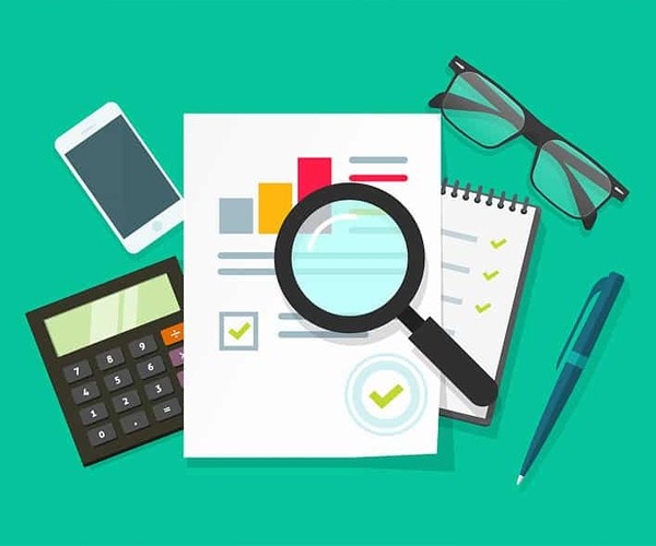 Statutory Audit